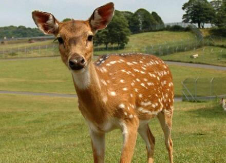 情感故事，碎碎光阴吹灼思，这是我到夜场做公关小姐的第七个月