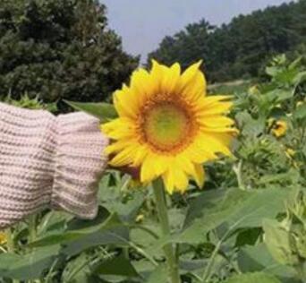 催泪有力的爱情故事，痴缠不休：霸道总裁轻点宠