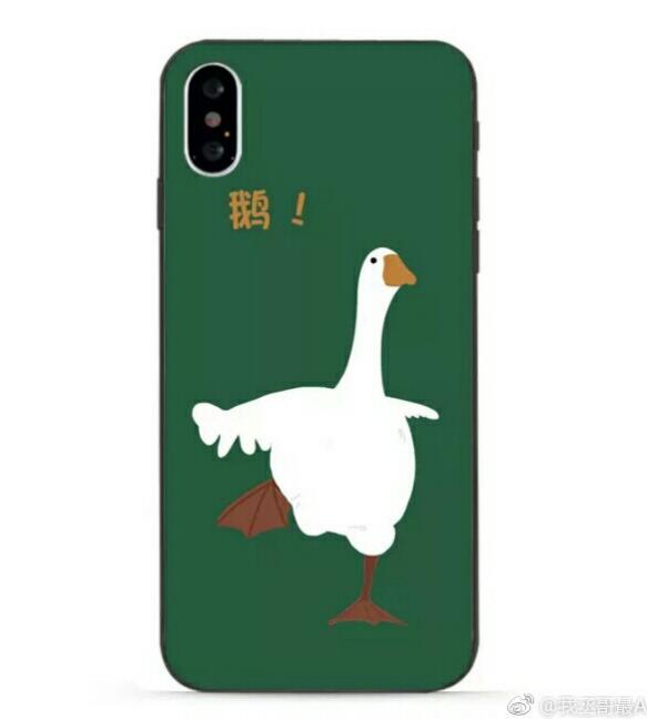 范丞丞手机壳鹅的照片，范丞丞手机壳鹅原图