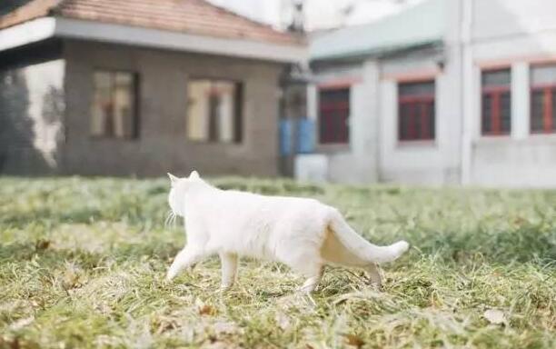 沉默，是女人最大的委屈。沉默，是女人最大的哭声