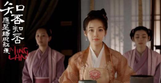 知否知否应是绿肥红瘦，剧情解析！