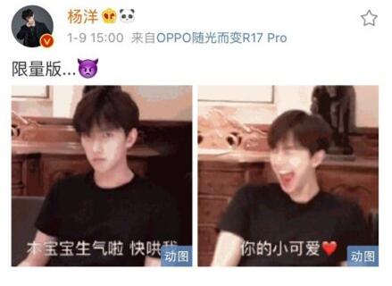 杨洋杨秤砣是什么梗