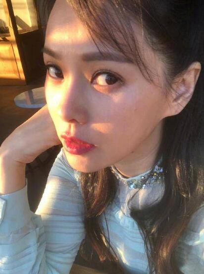 伊能静被质疑传销原因