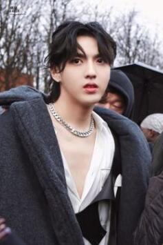 吴亦凡巴黎时装周生图似换头？