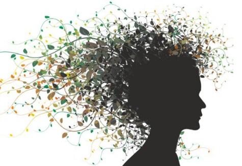 油性头发可以天天洗吗