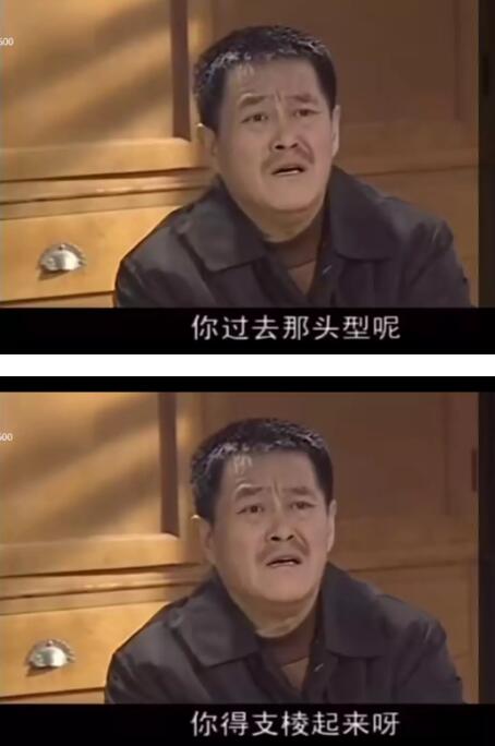 支棱起来是什么梗