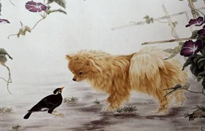 2019猪年年生肖运势详解_美国神婆星座网