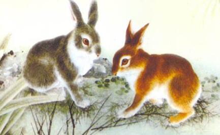 2019年财运最好的生肖介绍