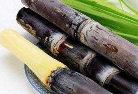 吃甘蔗会上火吗 甘蔗里的红色东西是什么