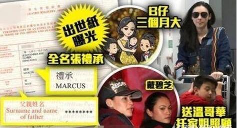 张柏芝三胎出生证是怎么回事