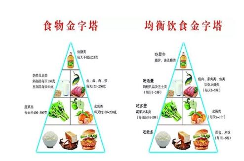 最有效减肥的食谱秘诀