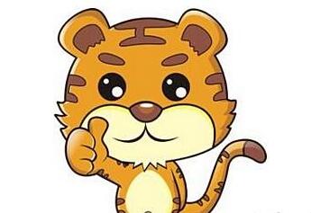 2019哪个生肖运势最好 运势前三揭秘