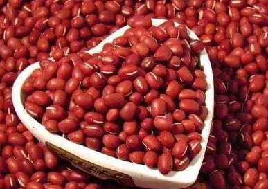 产妇吃什么补血快 十大补血食物排行榜