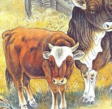 2019年3月桃花运最好的生肖