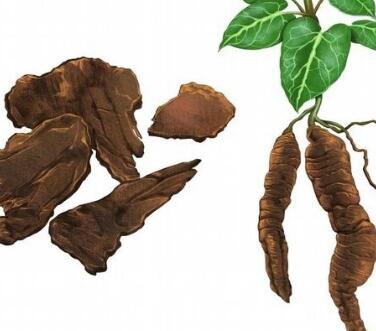 肾阳虚吃什么药最好？男人养肾最佳10食物