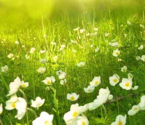 早安心语：新年后，迎来2019年春天的第一场雨