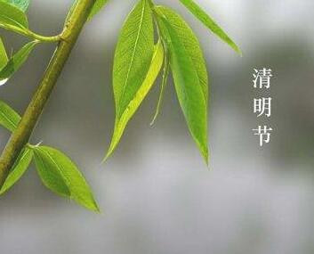 清明节的禁忌有哪些