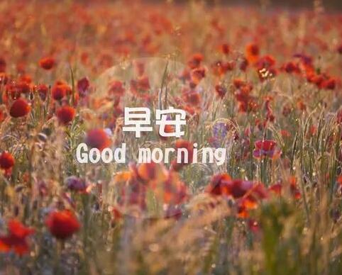 早上好的句子 朋友圈早安激励语