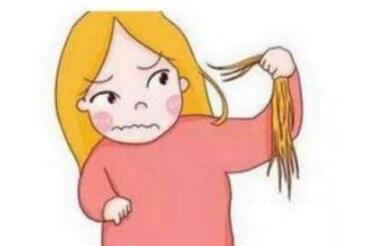 头发稀少要植发 植发以后还掉吗