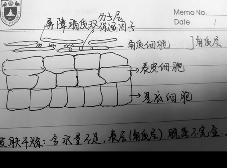 日常护肤心得 护肤经验分享心得