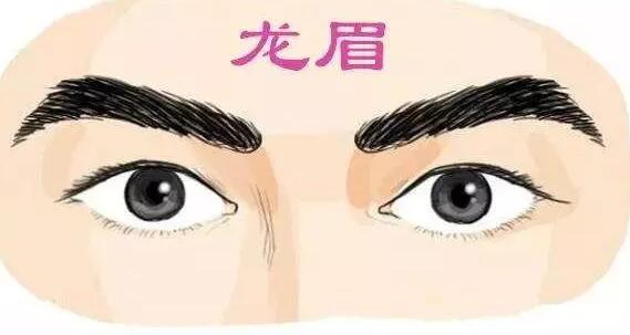 男生四种眉毛 富贵惊人