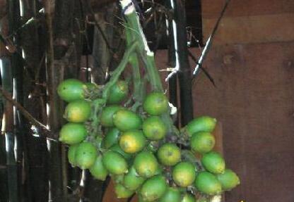 会致癌的食物大全 远离癌症最好不要吃