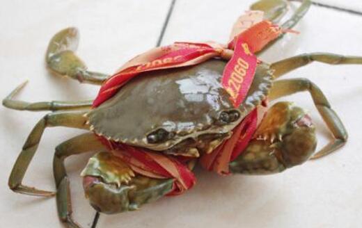 青蟹里面黑色东西可以吃吗