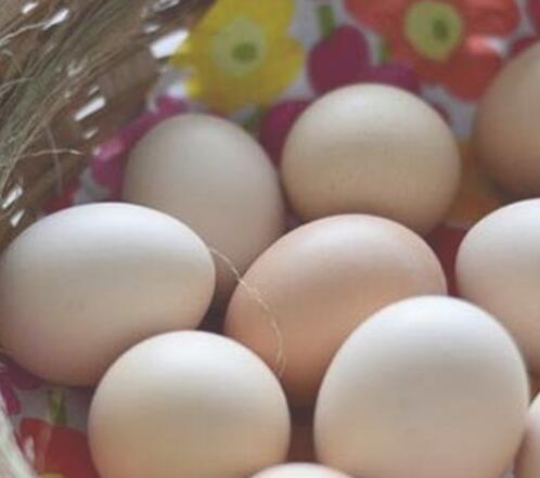 鸡蛋这样煮既好吃又减肥