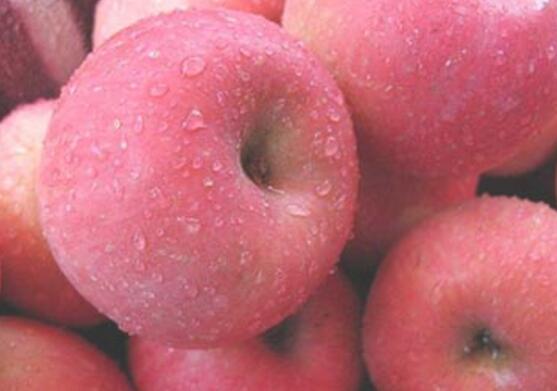 边吃边瘦 这几种食物不能错过