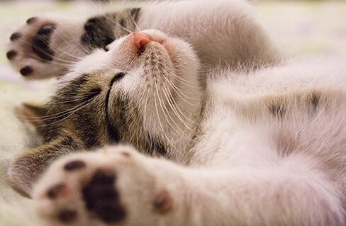 睡眠障碍症有什么表现 有有很多人有睡眠障碍