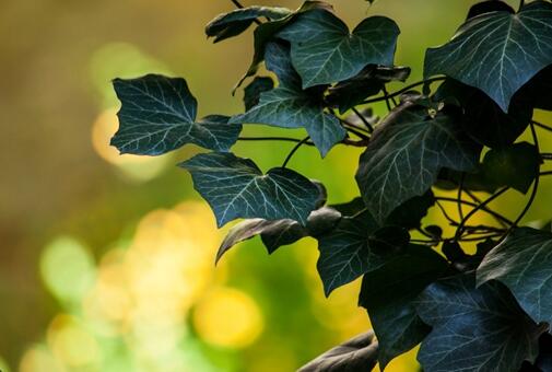 2019年五一结婚适合结婚吗