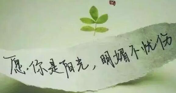 一半大学 一半生活