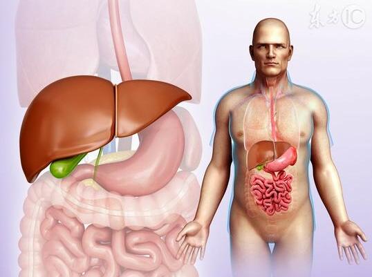 肝脏排毒的方法是什么