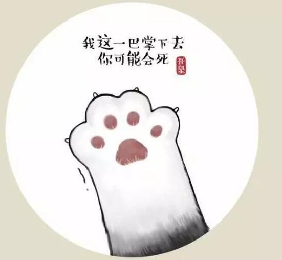 可爱在性感面前一文不值吗