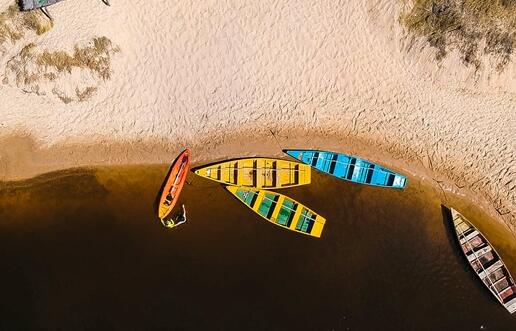 十二星座那个学习最好