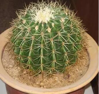 怎么看自家风水 风水能带来好运势