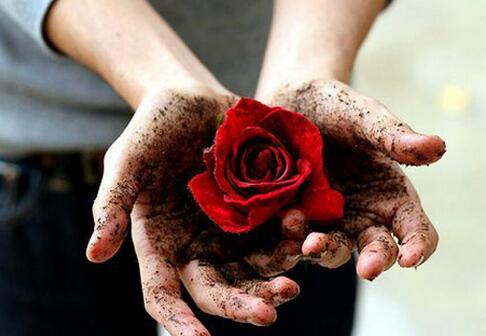 手掌脱皮是由哪些原因导致的