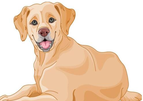 相亲怎么聊天 这样聊能够早日脱单