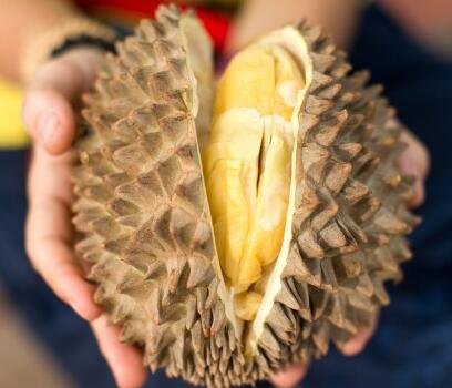 榴莲和桃子一起吃三大作用原理告诉你
