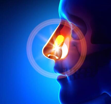 悄悄教你几招摆脱鼻塞的小技巧