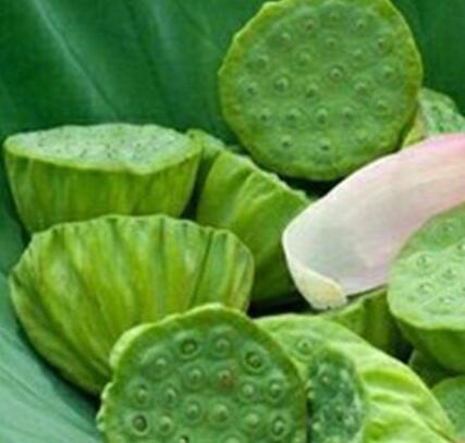 莲子的功效与作用有哪些