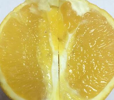 一天中什么时候最容易犯困 困意来袭怎么办