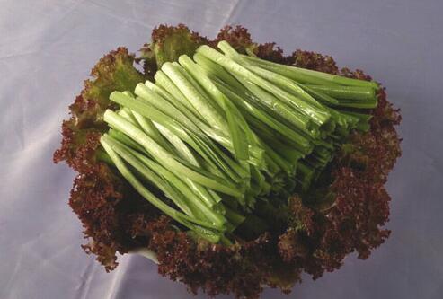 韭菜的功效与作用 做法也多种多样