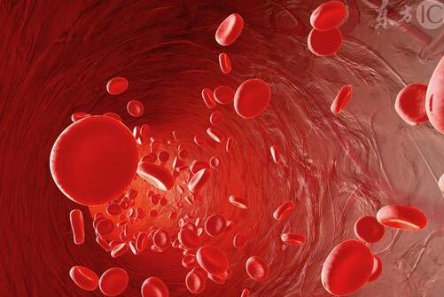 教你六招延缓血管老化