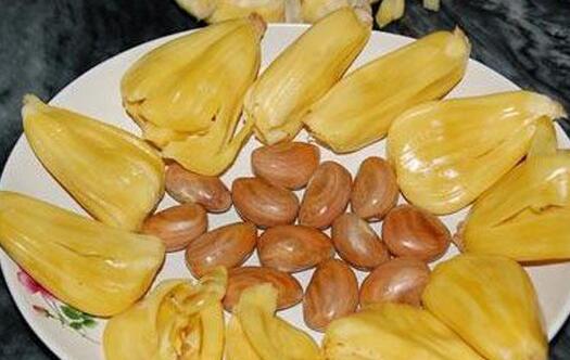 菠萝蜜核也是可以吃的 菠萝蜜的核怎么吃