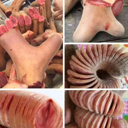 马鹿茸的功效与作用都有哪些