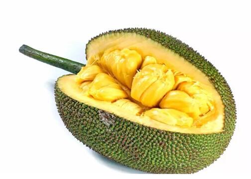 菠萝蜜上火吗 平时不能吃的太多