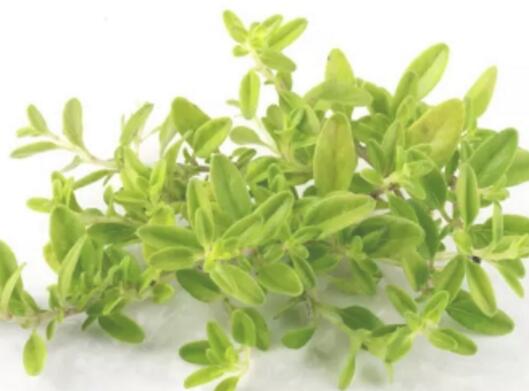 亲爱的便便 你到底怎么了