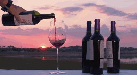 喝酒的误区 干喝啤酒是可以减肥的