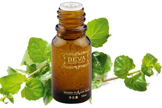 檀香精油的功效与用法 有很大的美容价值与养生价值